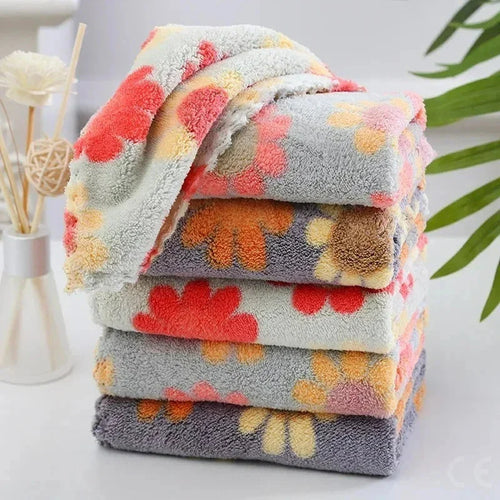 4PCS Kitchen Cleaning Cloths – Soft Absorbent Coral Fleece Dish Towels - P's One-Stop Shop 