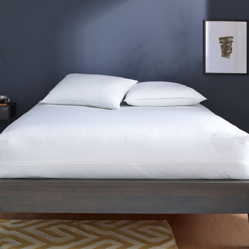 Clean Design Home® Allergen-Proof Pillow Encasement - P's One-Stop Shop 