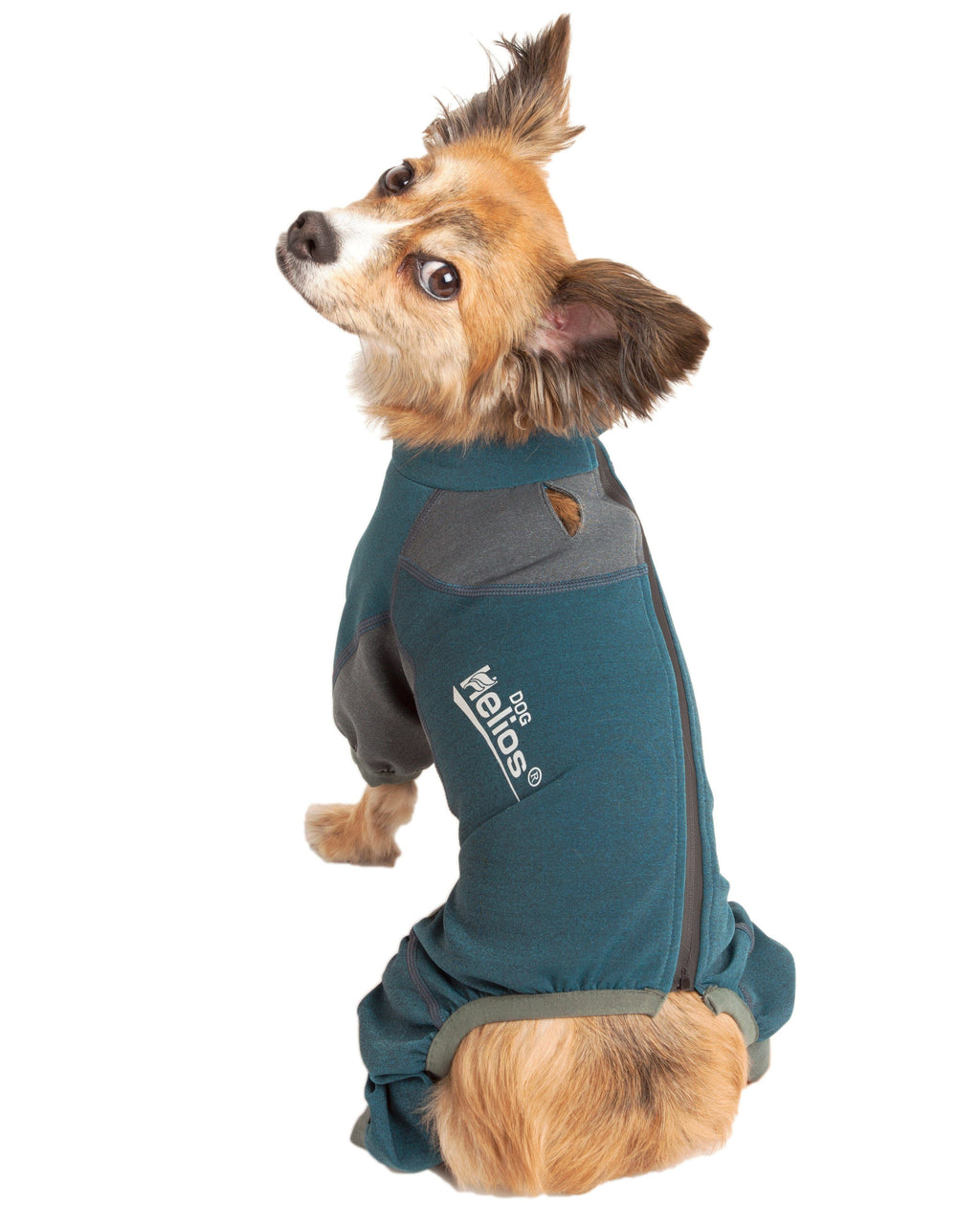 Dog Helios ® 'Rufflex' Mediumweight 4-Way-Stretch Fitness Yoga Dog Tracksuit Jacket - P's One-Stop Shop 