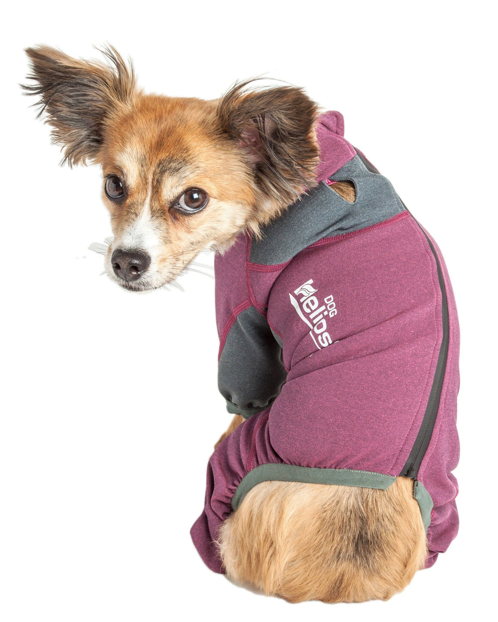 Dog Helios ® 'Rufflex' Mediumweight 4-Way-Stretch Fitness Yoga Dog Tracksuit Jacket - P's One-Stop Shop 