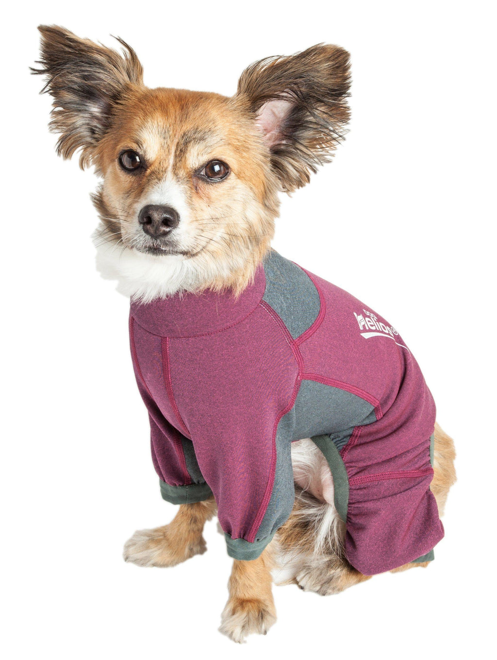 Dog Helios ® 'Rufflex' Mediumweight 4-Way-Stretch Fitness Yoga Dog Tracksuit Jacket - P's One-Stop Shop 
