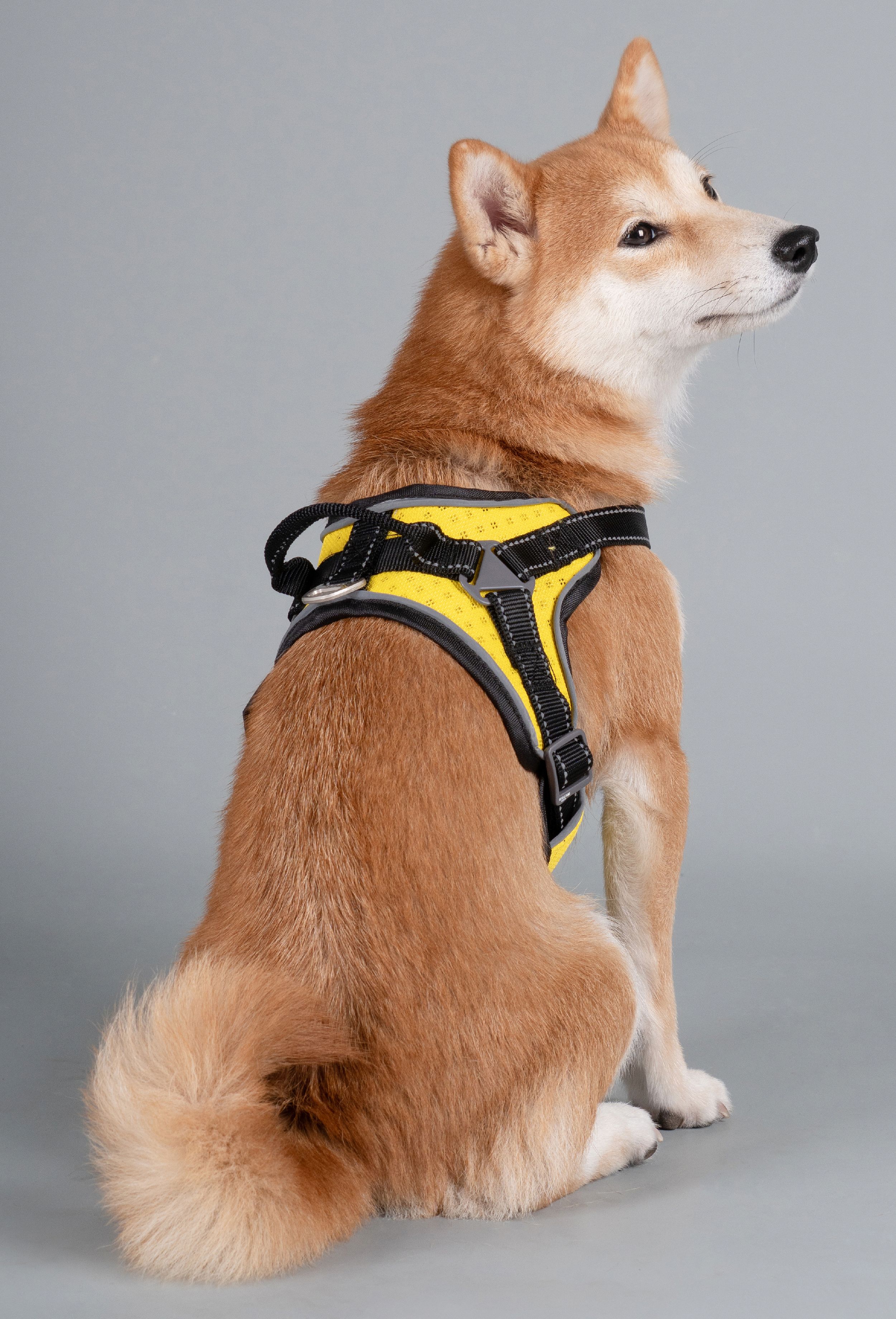 Dog Helios ® 'Scorpion' Sporty High-Performance Free-Range Dog Harness - P's One-Stop Shop 