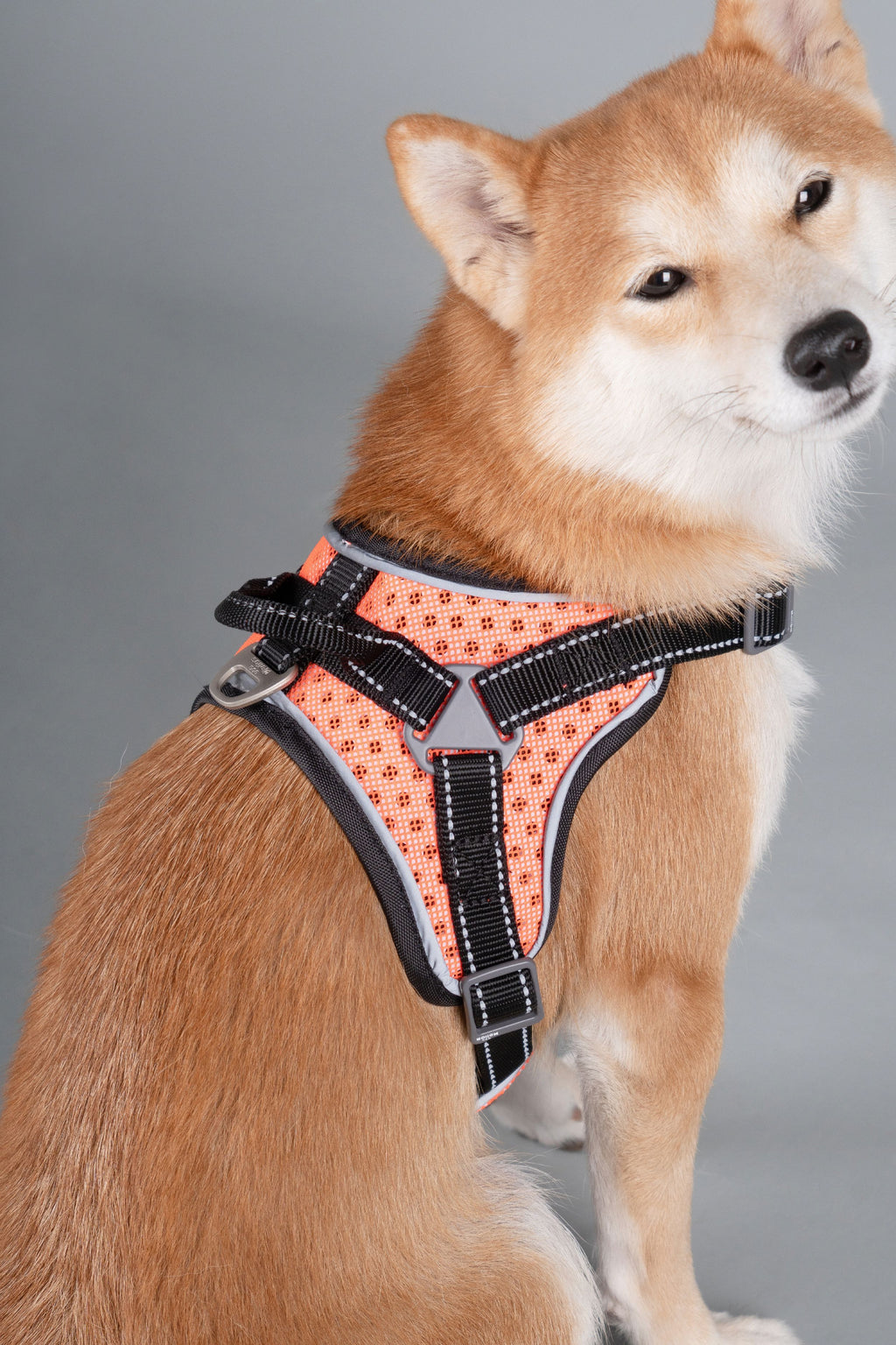 Dog Helios ® 'Scorpion' Sporty High-Performance Free-Range Dog Harness - P's One-Stop Shop 