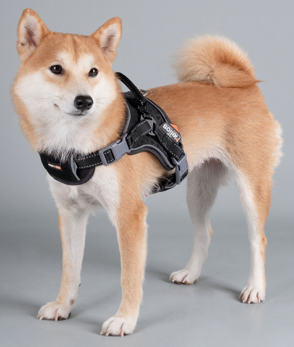 Dog Helios ® 'Scorpion' Sporty High-Performance Free-Range Dog Harness - P's One-Stop Shop 