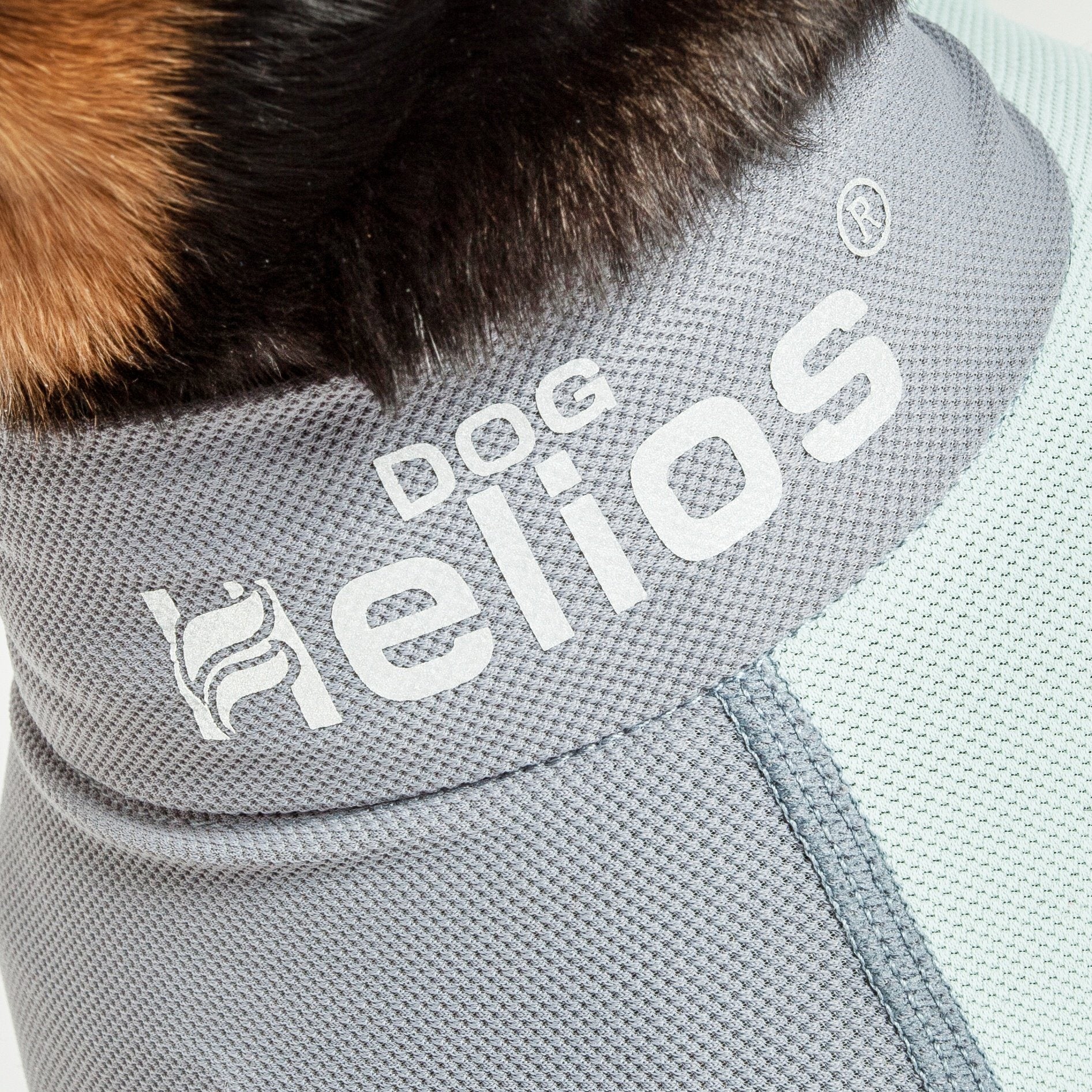 Dog Helios ® 'Tail Runner' Lightweight 4-Way-Stretch Breathable Yoga Dog Tracksuit - P's One-Stop Shop 