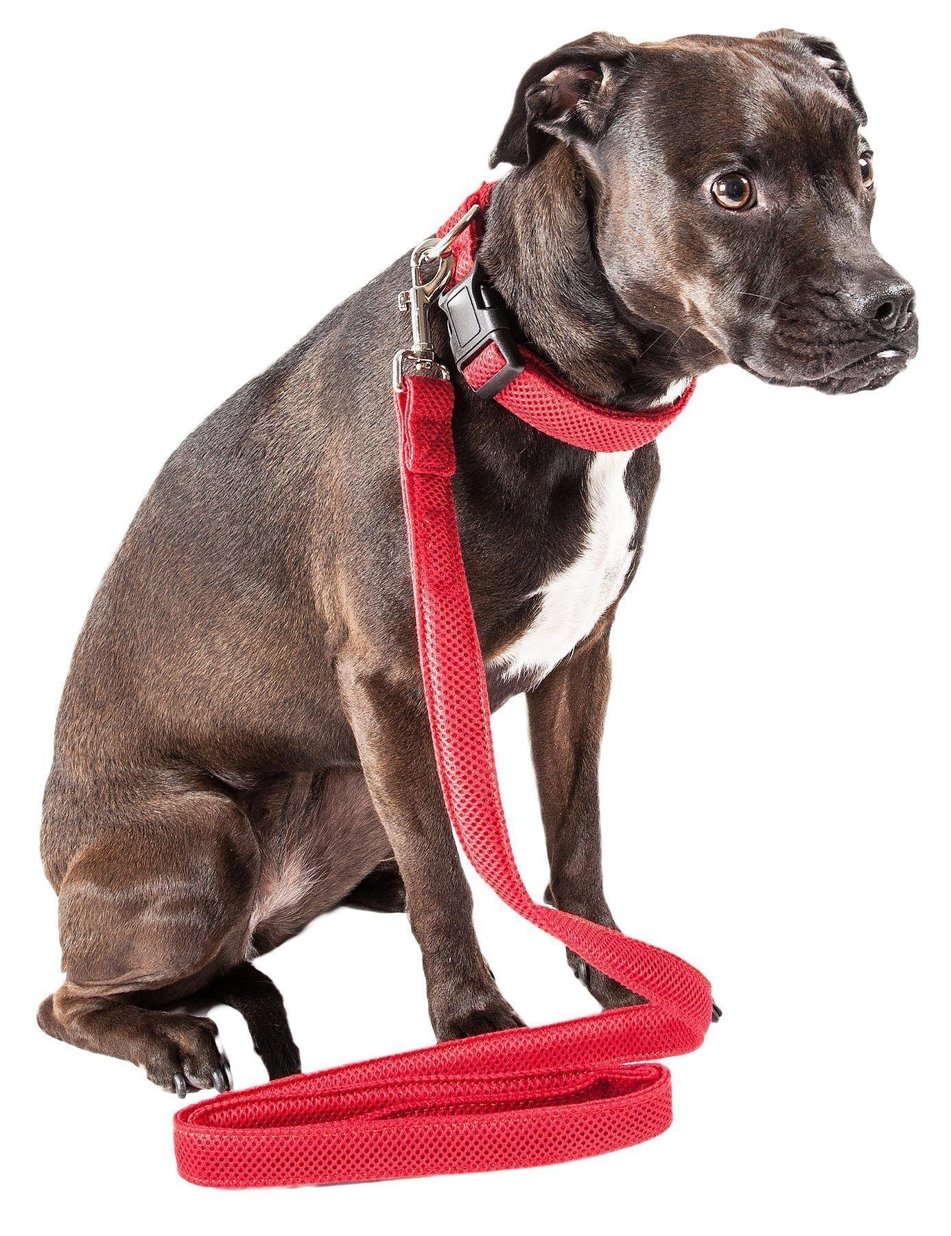 Pet Life ® 'Aero Mesh' 2-In-1 Breathable and Adjustable Dual-Sided Mesh Dog Leash and Collar - P's One-Stop Shop 