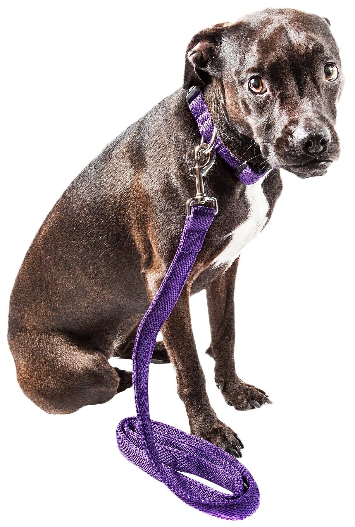Pet Life ® 'Aero Mesh' 2-In-1 Breathable and Adjustable Dual-Sided Mesh Dog Leash and Collar - P's One-Stop Shop 