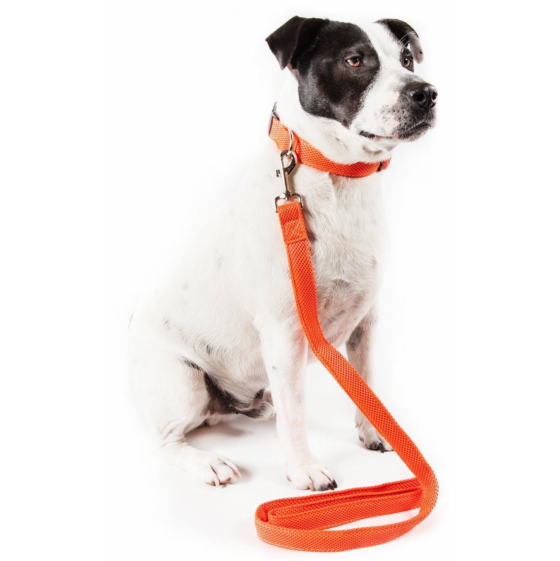 Pet Life ® 'Aero Mesh' 2-In-1 Breathable and Adjustable Dual-Sided Mesh Dog Leash and Collar - P's One-Stop Shop 