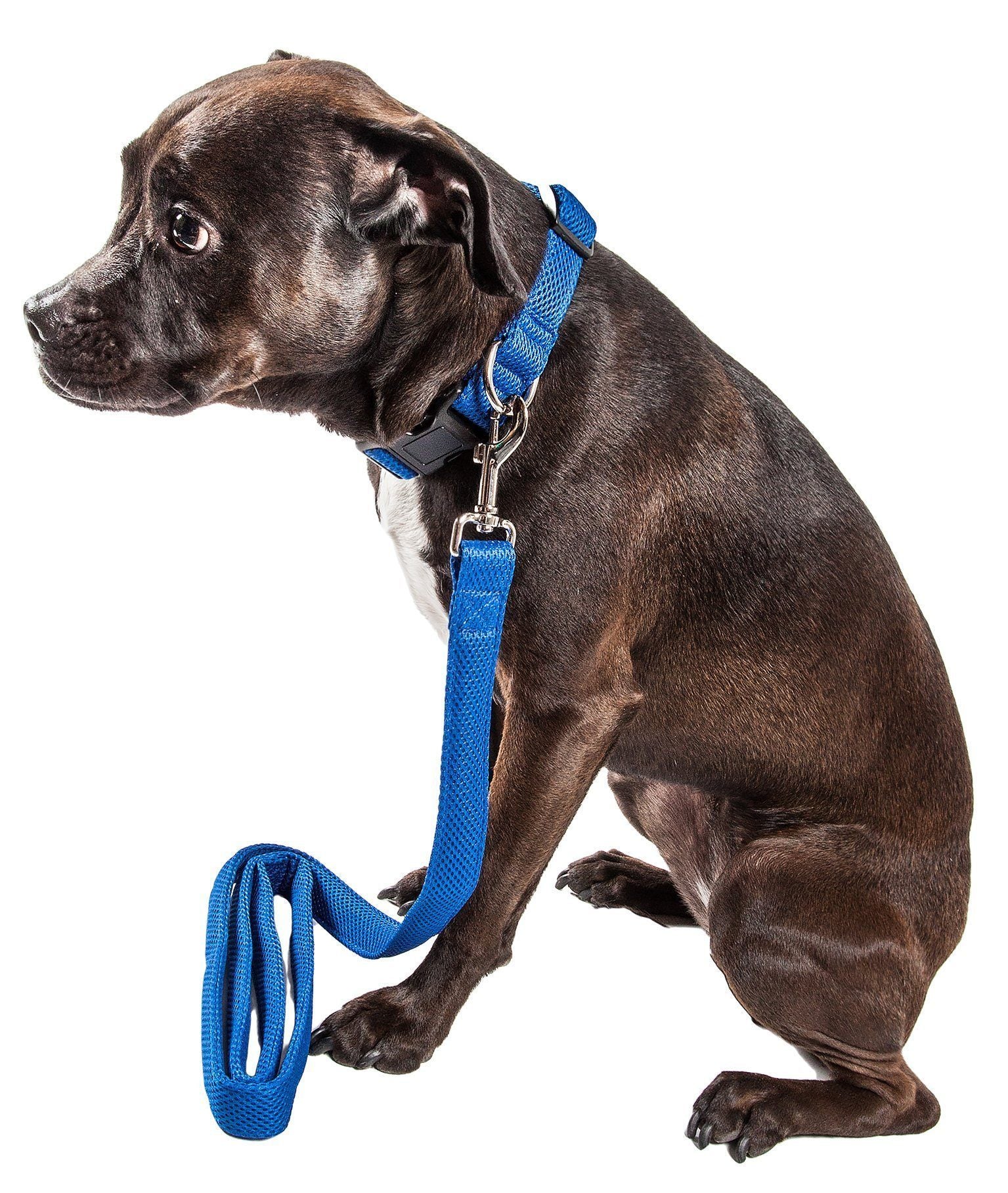 Pet Life ® 'Aero Mesh' 2-In-1 Breathable and Adjustable Dual-Sided Mesh Dog Leash and Collar - P's One-Stop Shop 