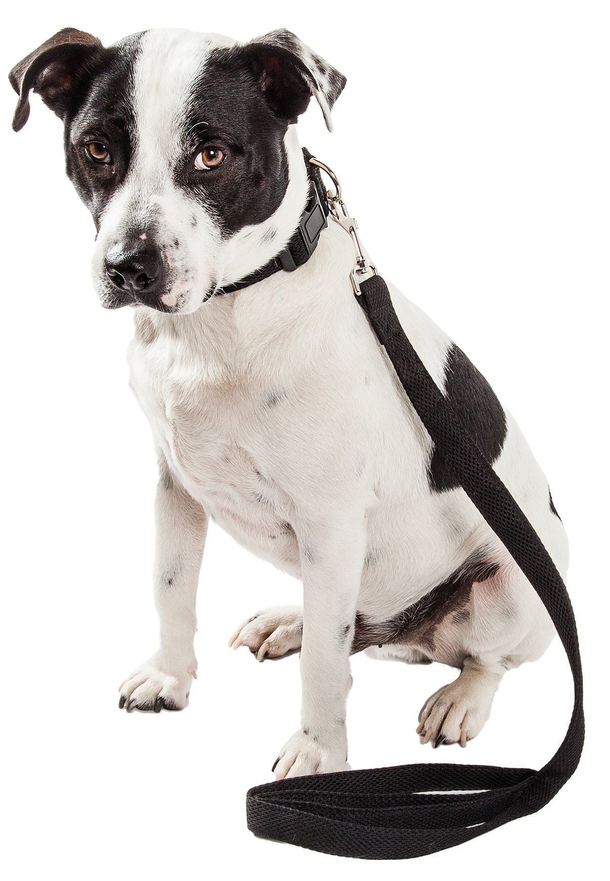 Pet Life ® 'Aero Mesh' 2-In-1 Breathable and Adjustable Dual-Sided Mesh Dog Leash and Collar - P's One-Stop Shop 