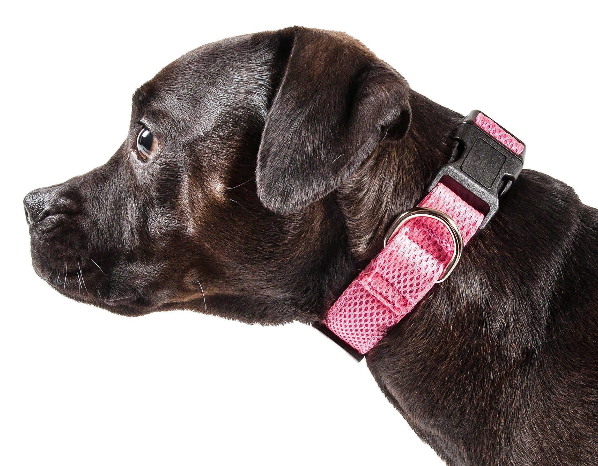 Pet Life ®  'Aero Mesh' Dual-Sided Breathable and Adjustable Thick Mesh Dog Collar - P's One-Stop Shop 