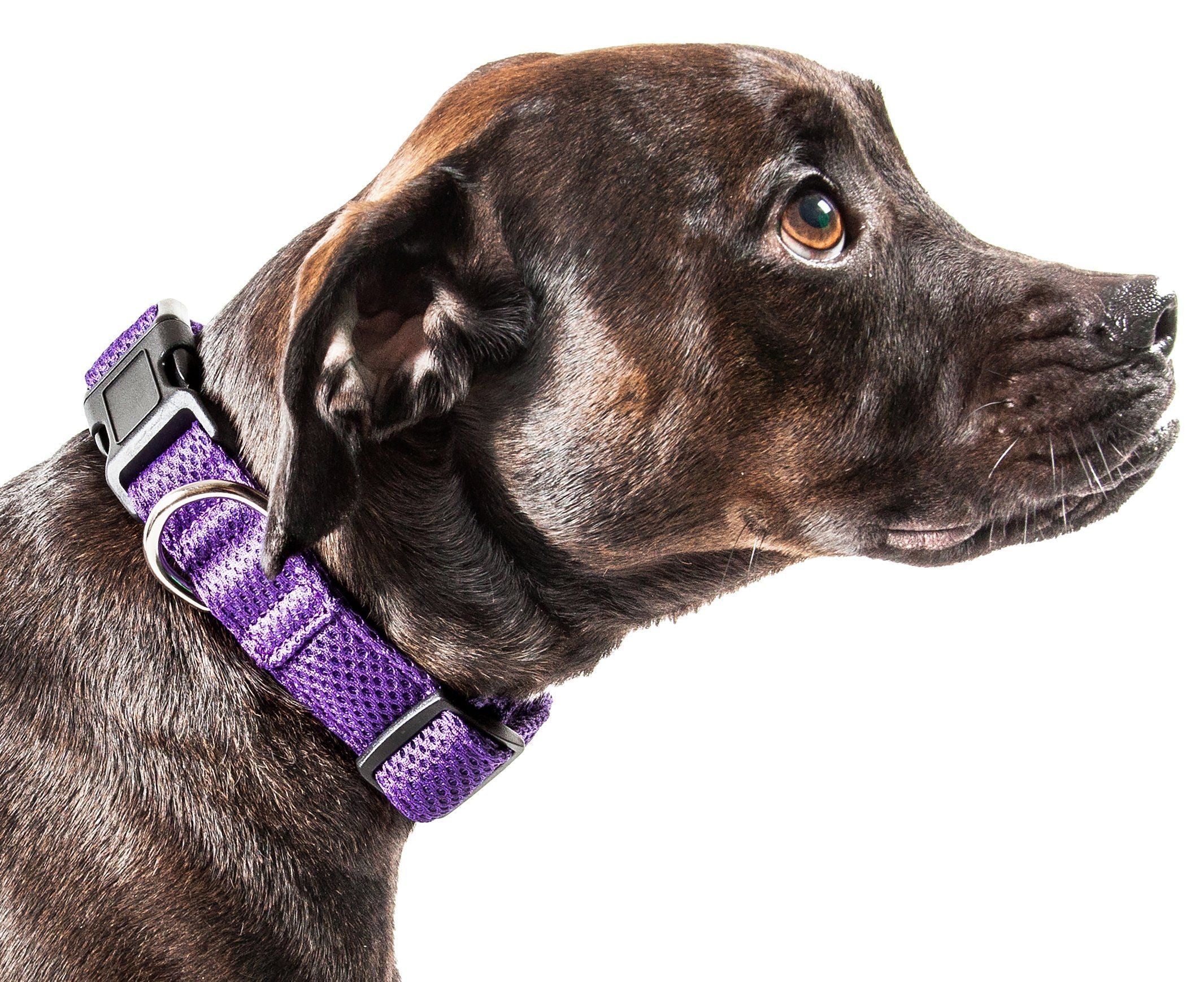 Pet Life ®  'Aero Mesh' Dual-Sided Breathable and Adjustable Thick Mesh Dog Collar - P's One-Stop Shop 
