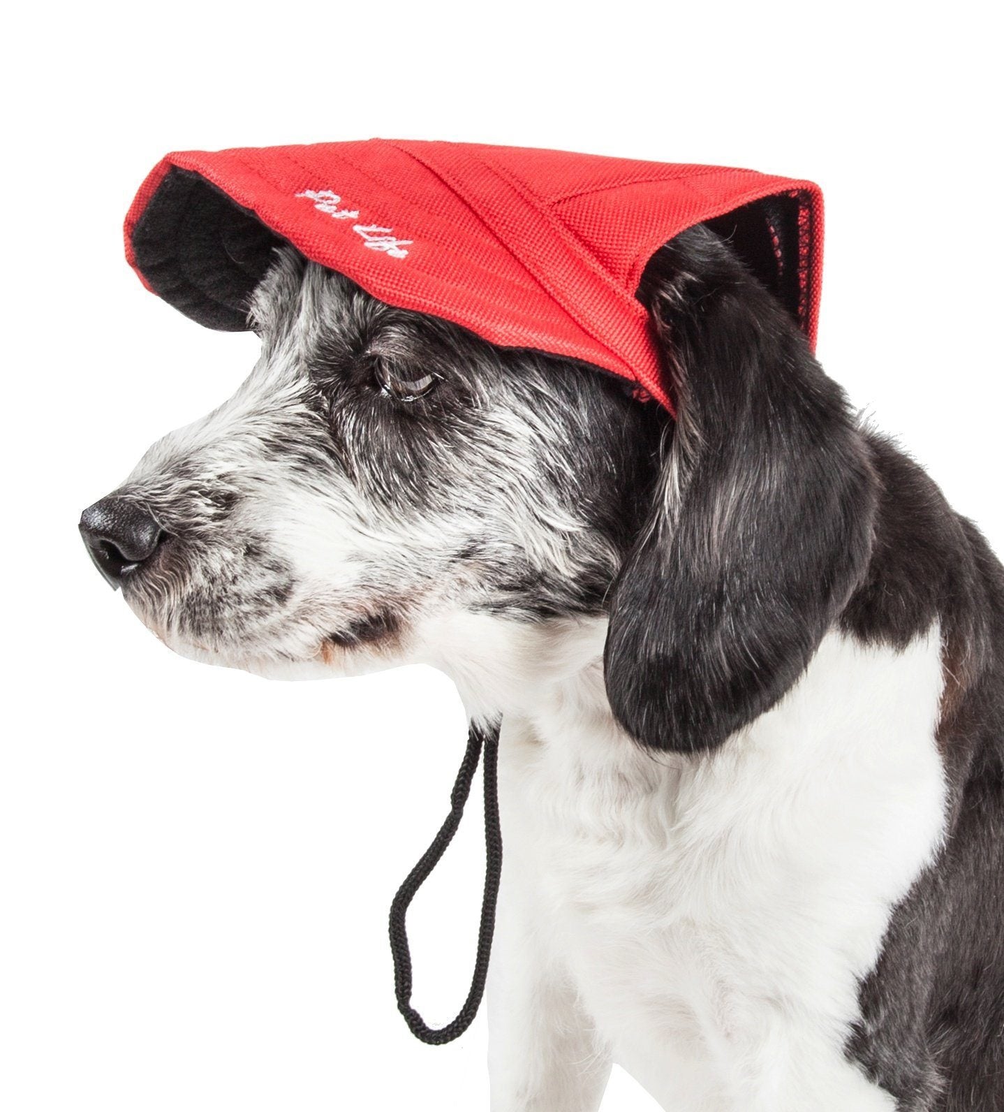 Pet Life ®  'Cap-Tivating' UV Protectant Adjustable Fashion Dog Hat Cap - P's One-Stop Shop 
