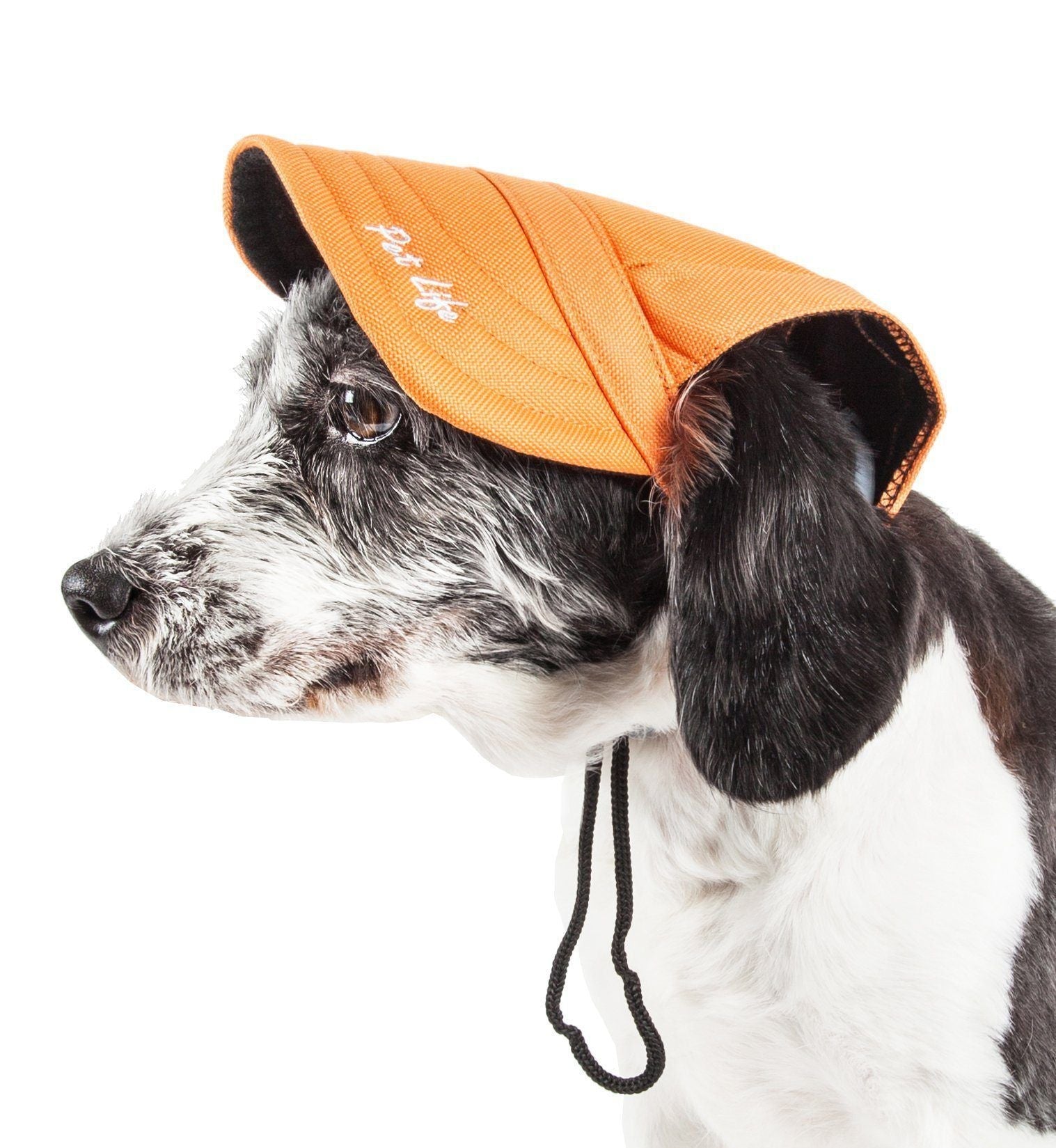 Pet Life ®  'Cap-Tivating' UV Protectant Adjustable Fashion Dog Hat Cap - P's One-Stop Shop 