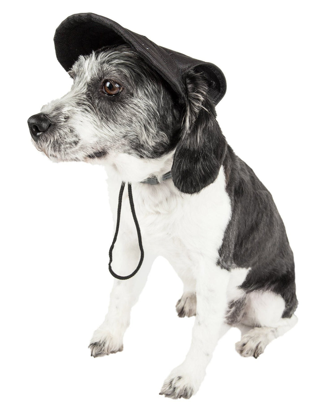 Pet Life ®  'Cap-Tivating' UV Protectant Adjustable Fashion Dog Hat Cap - P's One-Stop Shop 