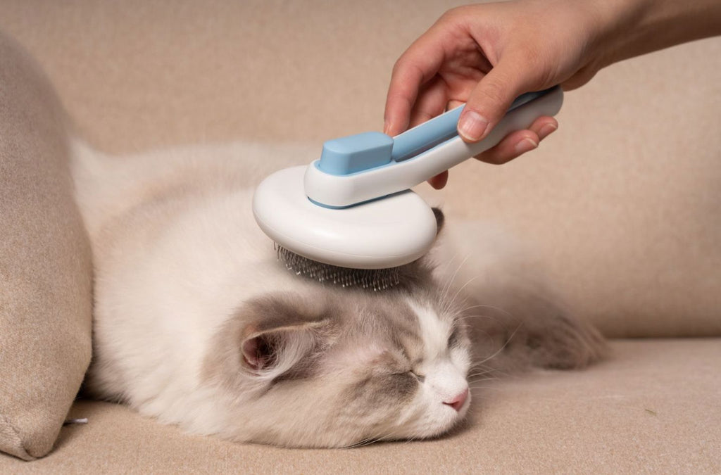Pet Life ® 'Concepto' Modern Bristle Grooming Pet Deshedder Comb - P's One-Stop Shop 