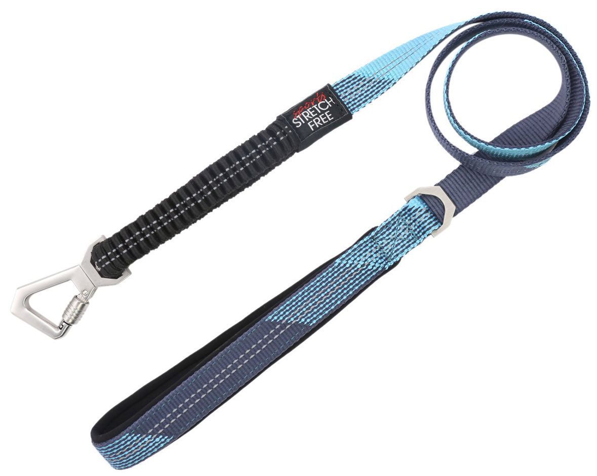 Pet Life ® 'Geo-prene' 2-in-1 Shock Absorbing Neoprene Padded Reflective Dog Leash and Collar - P's One-Stop Shop 
