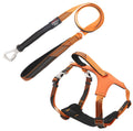 Pet Life ® 'Geo-prene' 2-in-1 Shock Absorbing Neoprene Padded Reflective Dog Leash and Harness - P's One-Stop Shop 