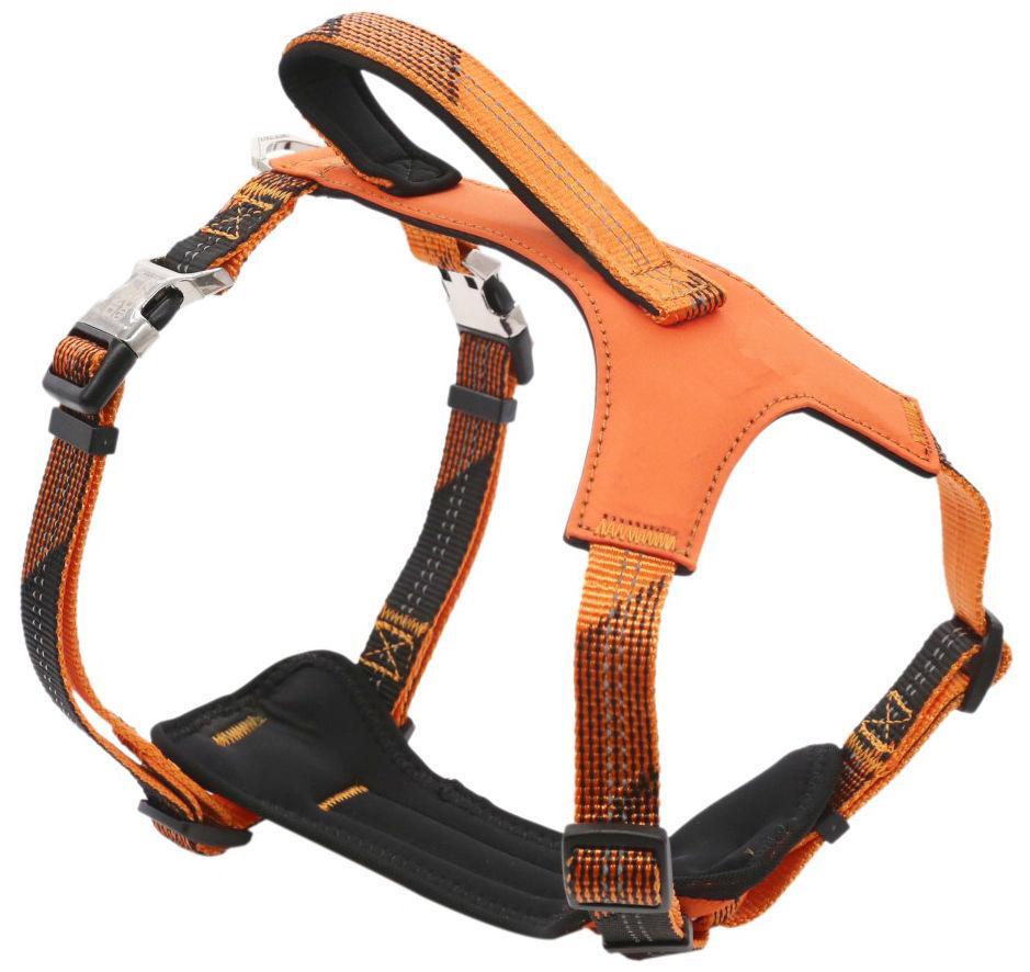 Pet Life ® 'Geo-prene' 2-in-1 Shock Absorbing Neoprene Padded Reflective Dog Leash and Harness - P's One-Stop Shop 