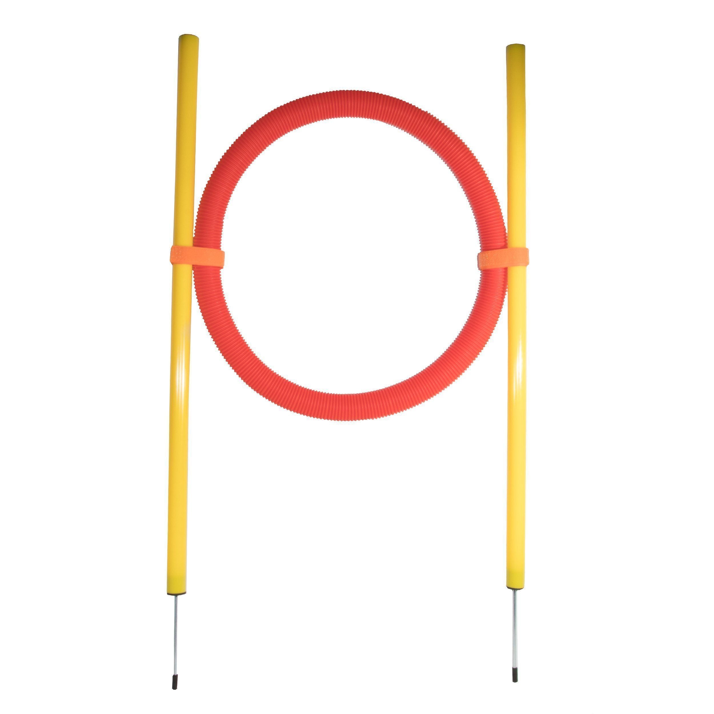 Pet Life ® 'Hoop Hopper' Collapsible Travel Folding Outdoor Performance Agility Pet Dog Trainer Training Kit - P's One-Stop Shop 