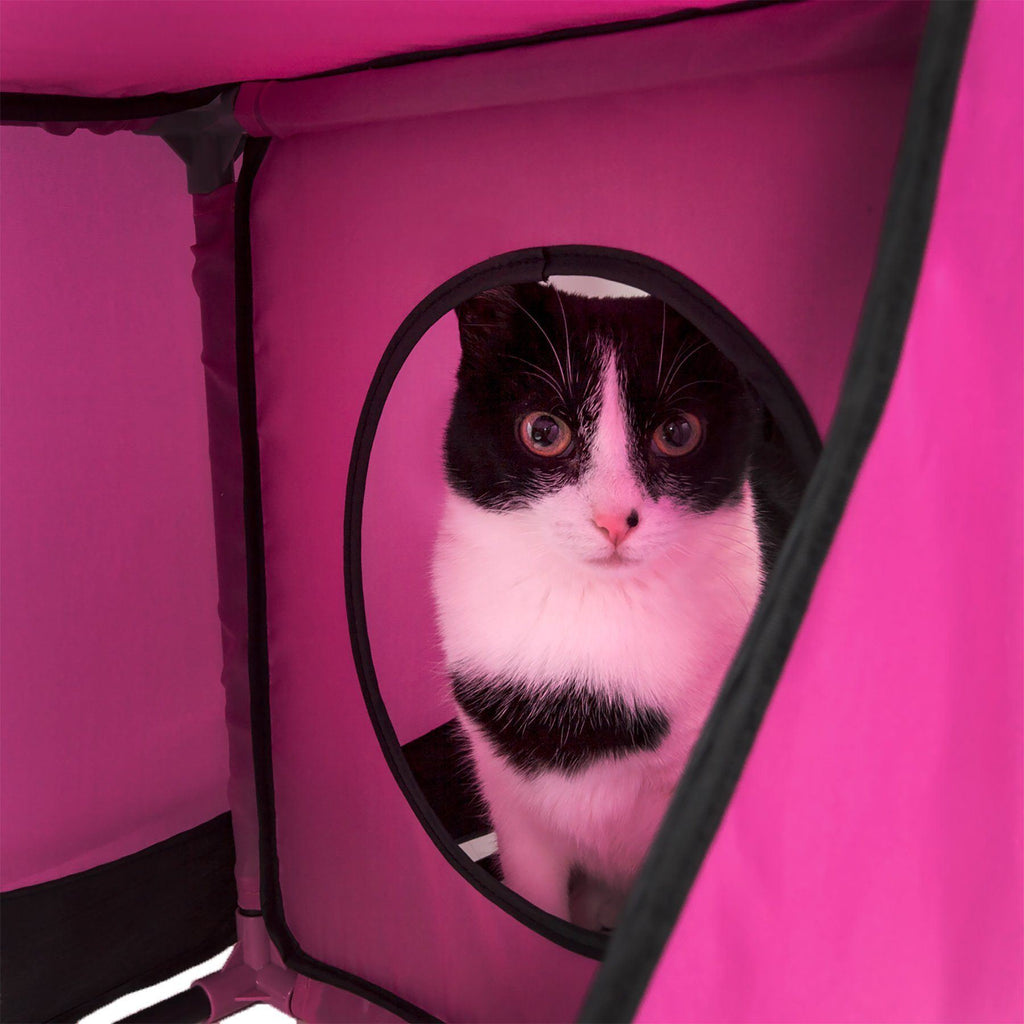 Pet Life ® 'Kitty-Play' Collapsible Travel Interactive Kitty Cat Tree Maze House Lounger Tunnel Lounge - P's One-Stop Shop 