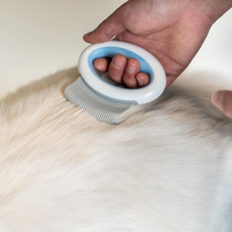 Pet Life ® 'Knuckler' Handheld Travel Flexible Grooming Pet Rake Comb - P's One-Stop Shop 