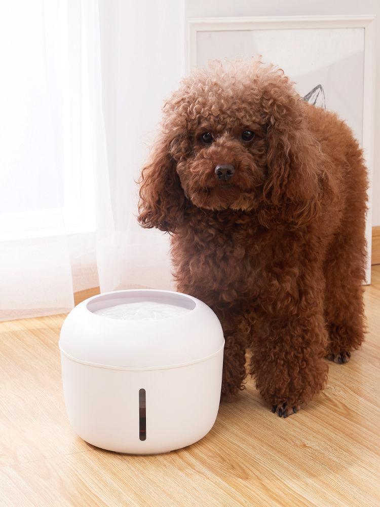 Pet Life ® 'Moda-Pure' Ultra-Quite Filtered Dog and Cat Fountain Waterer - P's One-Stop Shop 