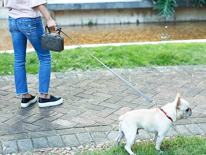 Pet Life ® 'Posh Walk' Purse Dog Leash, Accessory Holder and Waste Bag Dispenser - P's One-Stop Shop 