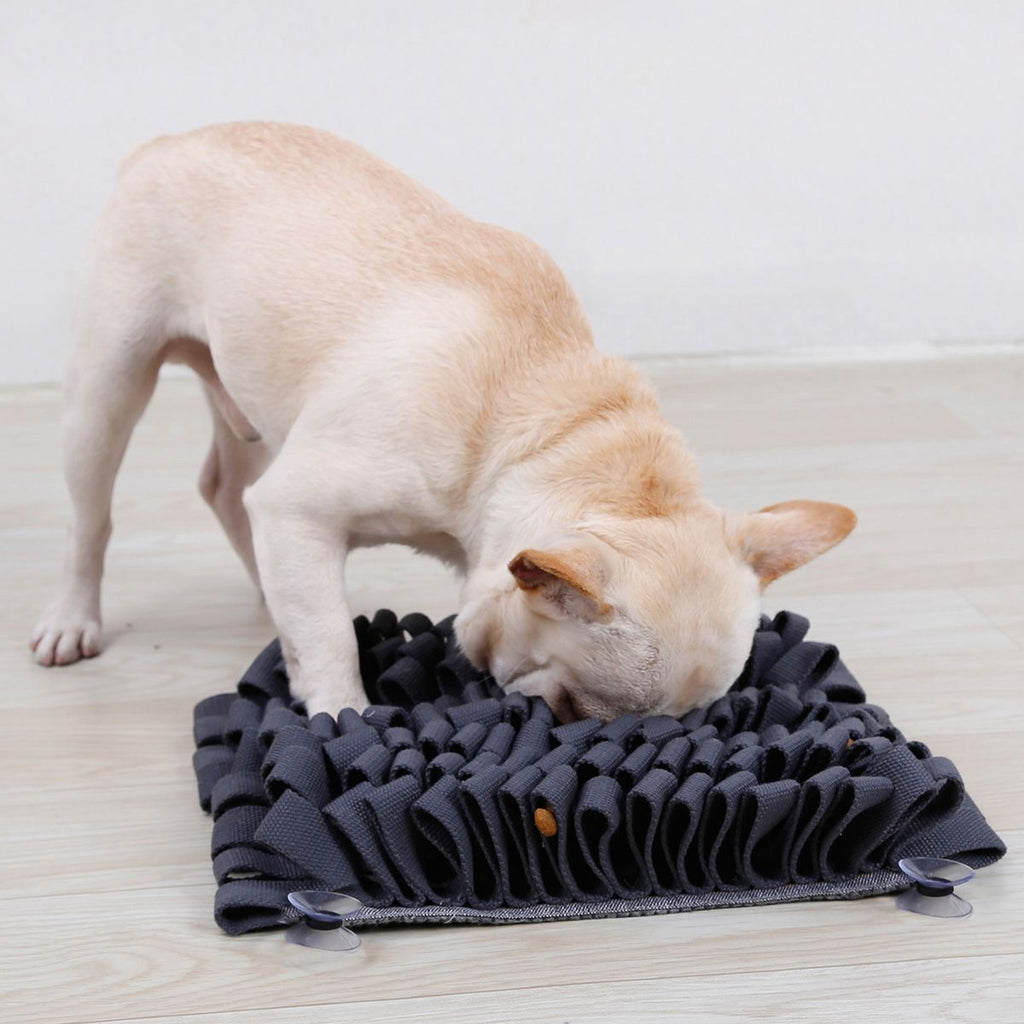 Pet Life ® 'Sniffer Grip' Interactive Anti-Skid Suction Pet Snuffle Mat - P's One-Stop Shop 