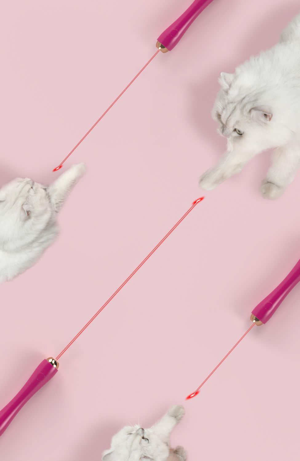 Pet Life ® 'Wander-cat' Customizeable and Extendable 10-in-1 Attachment Laser Cat Teaser - P's One-Stop Shop 