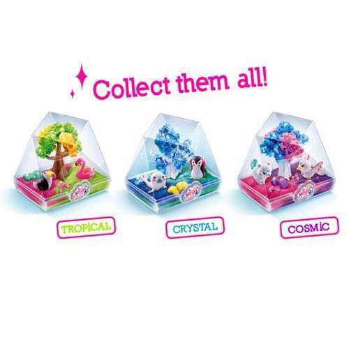 So Magic DIY - Medium Size Terrarium Kit - Choose a pack - P's One-Stop Shop 