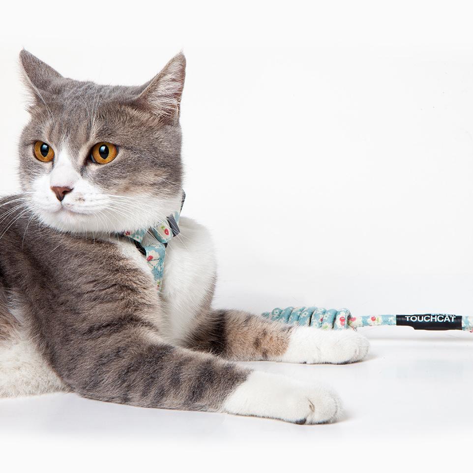 Touchcat 'Radi-Claw' Durable Cable Cat Harness and Leash Combo - P's One-Stop Shop 