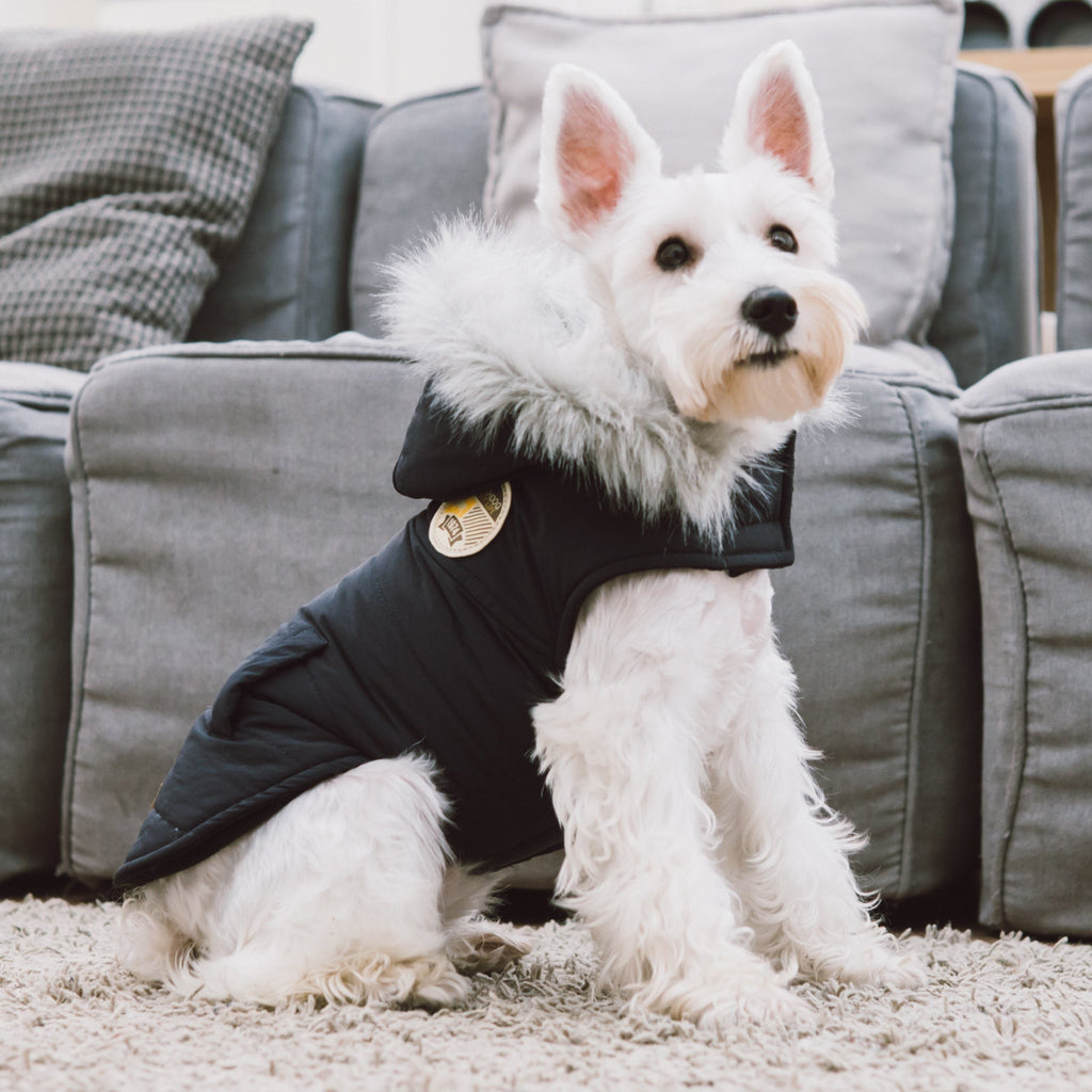 Touchdog 'Eskimo-Swag' Duck-Down Insulated Winter Dog Coat Parka - P's One-Stop Shop 