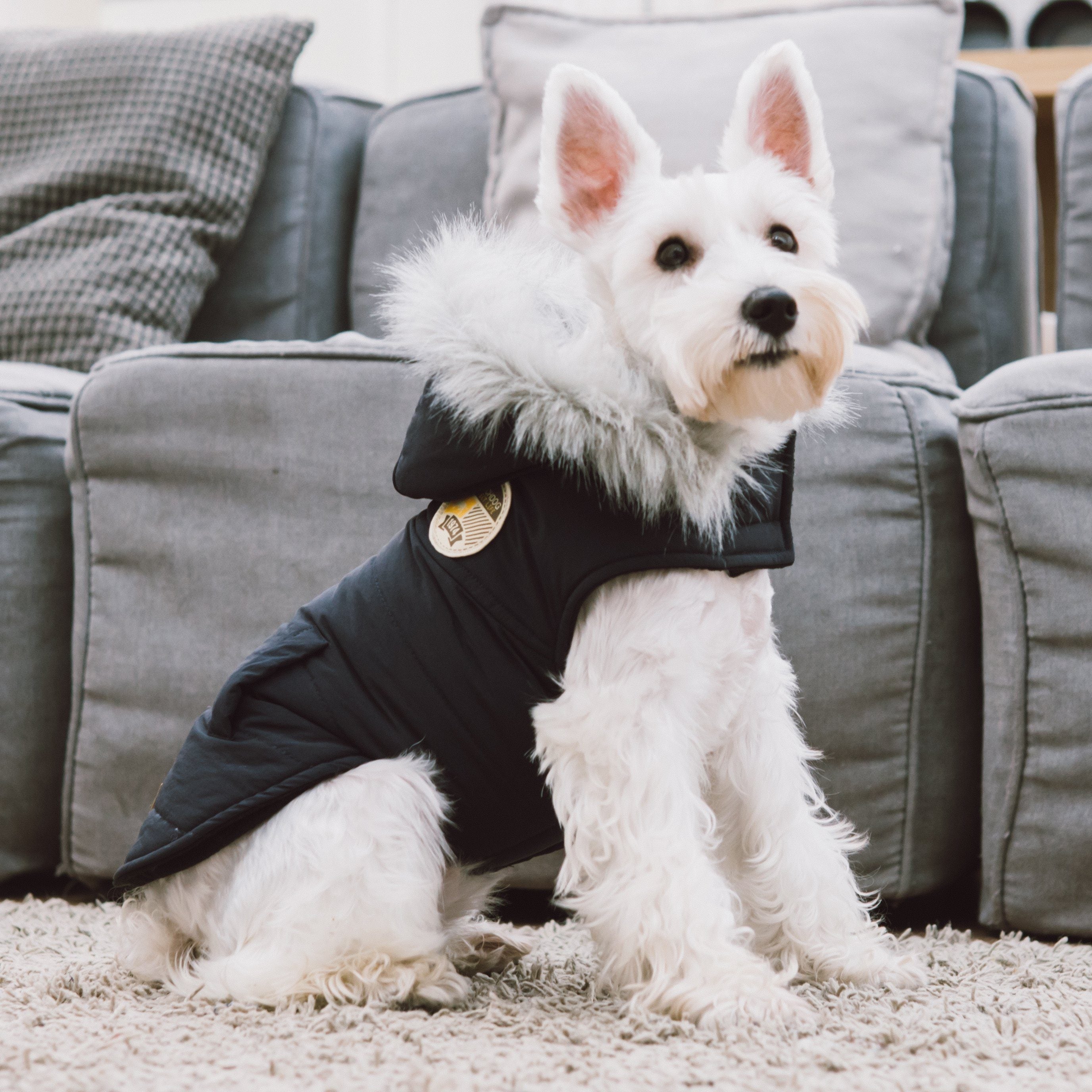 Touchdog 'Eskimo-Swag' Duck-Down Insulated Winter Dog Coat Parka - P's One-Stop Shop 