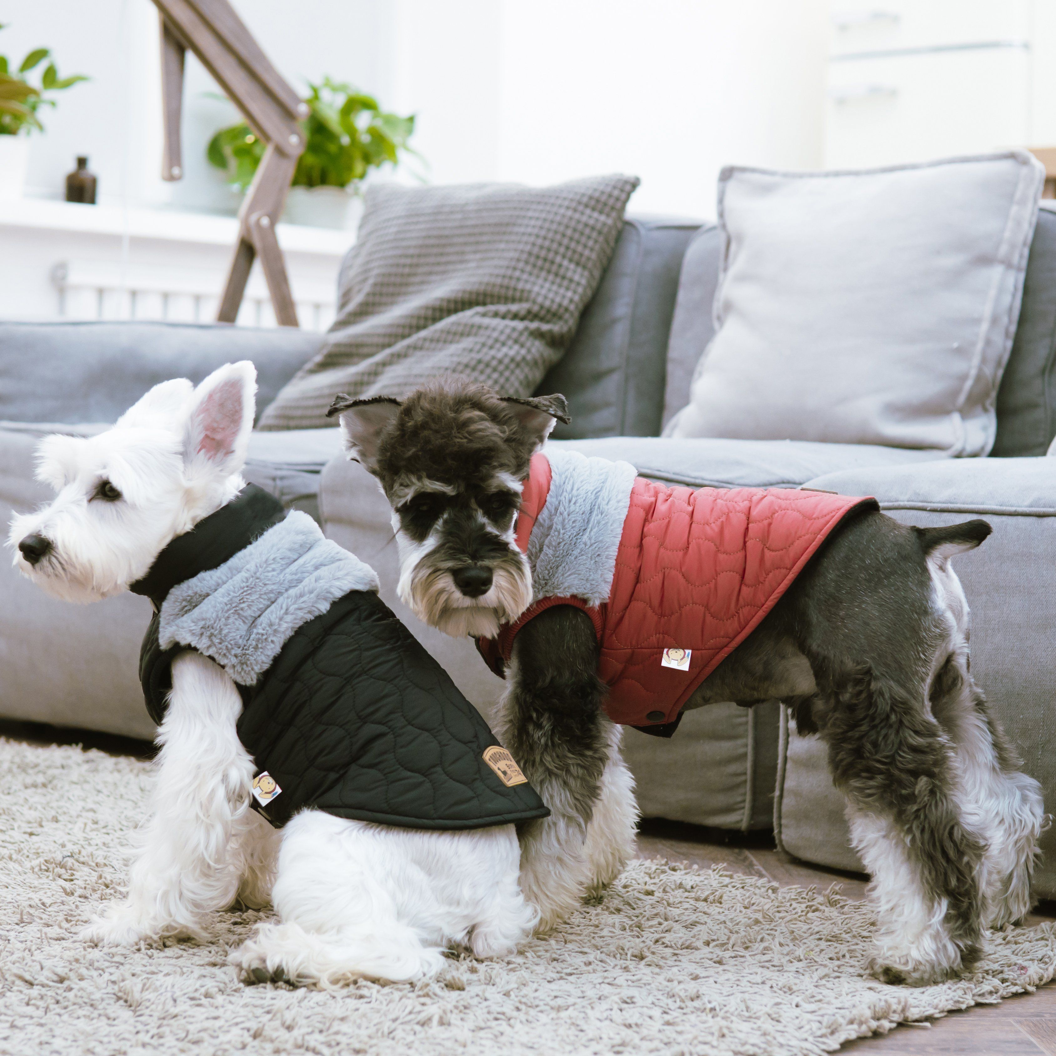 Touchdog 'Furrost-Bite' Fur and Fleece Designer Fashion Dog Jacket - P's One-Stop Shop 
