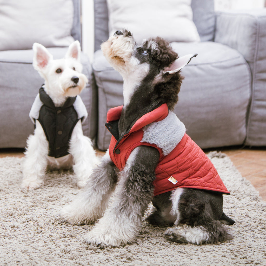 Touchdog 'Furrost-Bite' Fur and Fleece Designer Fashion Dog Jacket - P's One-Stop Shop 