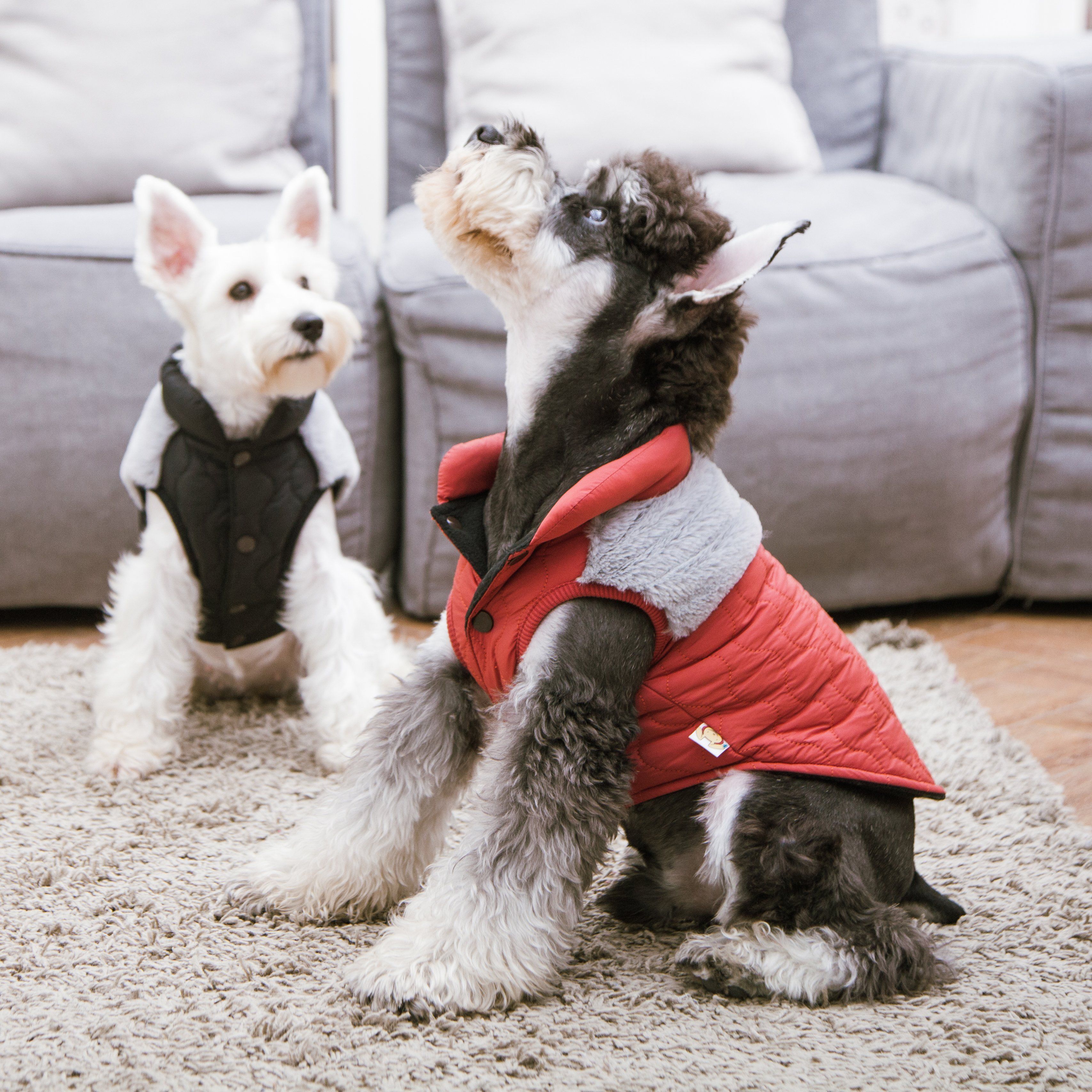 Touchdog 'Furrost-Bite' Fur and Fleece Designer Fashion Dog Jacket - P's One-Stop Shop 
