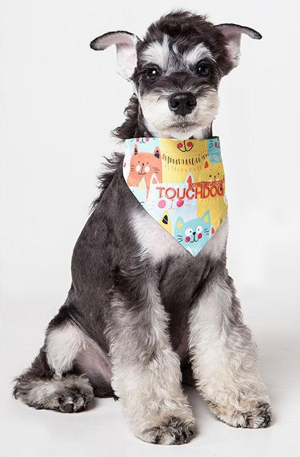 Touchdog ®'Head-Popper' Fashion Designer Printed Hook-and-Loop Dog Bandana - P's One-Stop Shop 
