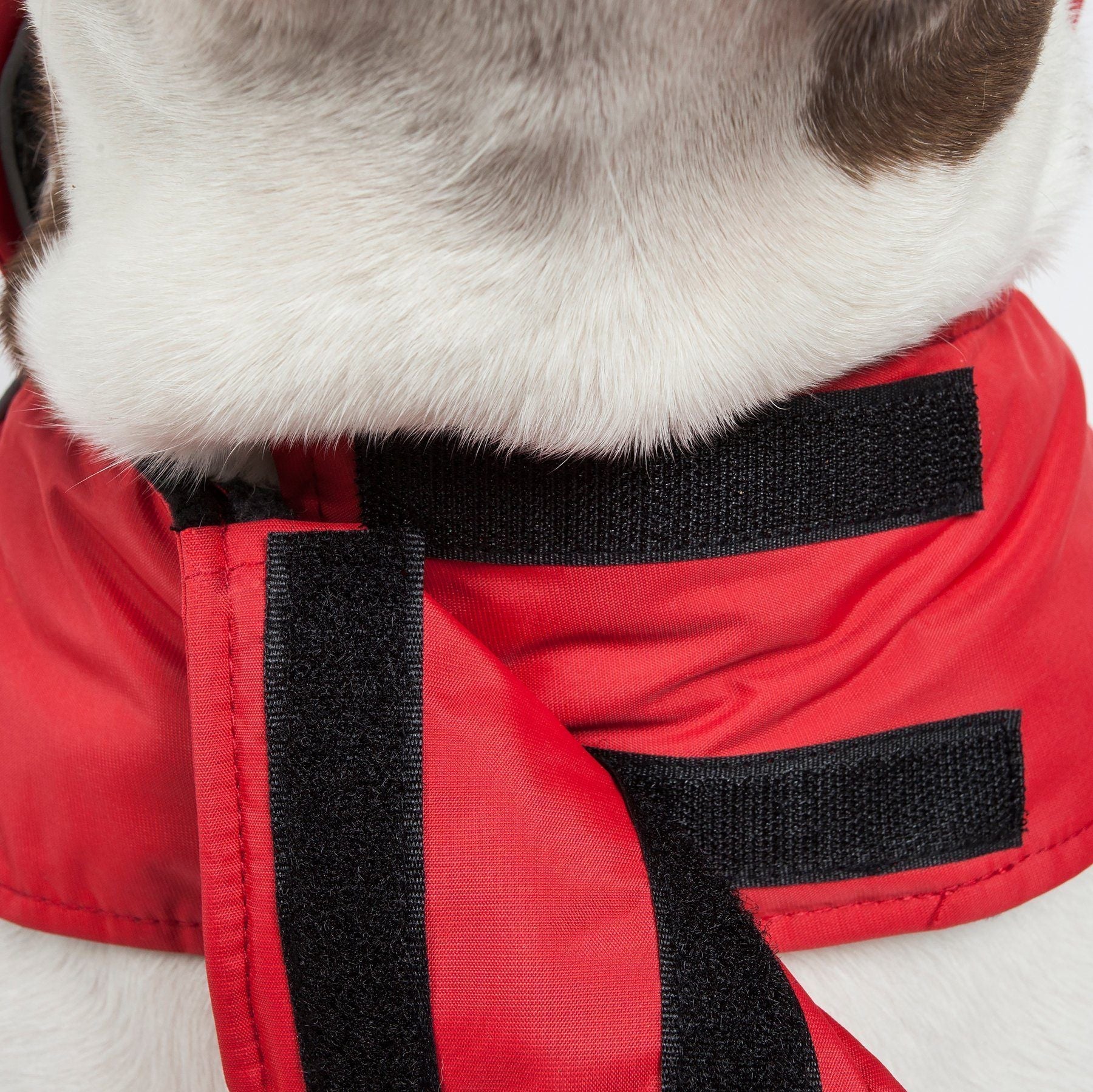 Touchdog ® Lightening-Shield 2-in-1 Dual-Removable-Layered Waterproof Dog Jacket - P's One-Stop Shop 