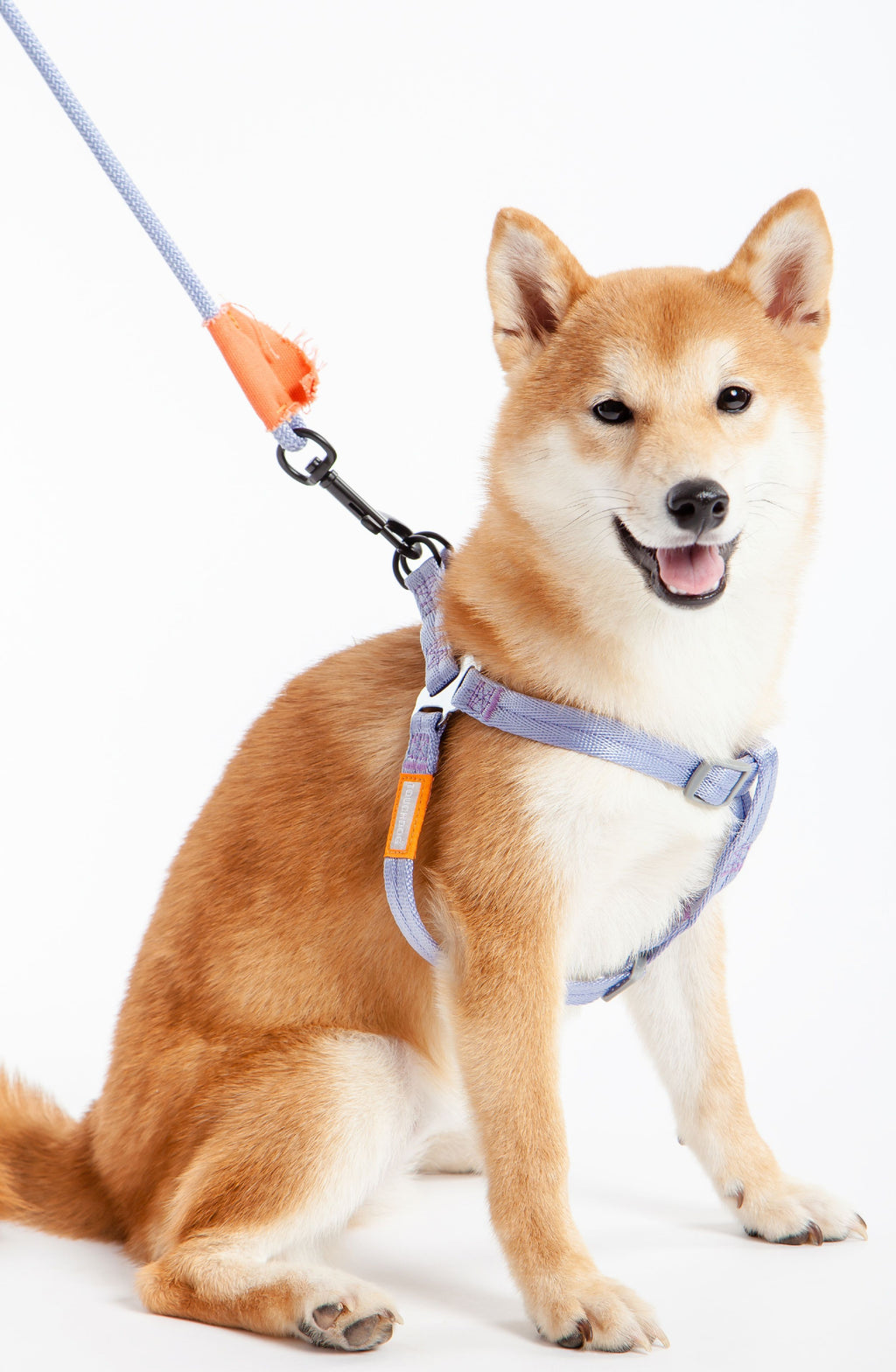 Touchdog ® 'Macaron' 2-in-1 Durable Nylon Dog Harness and Leash - P's One-Stop Shop 