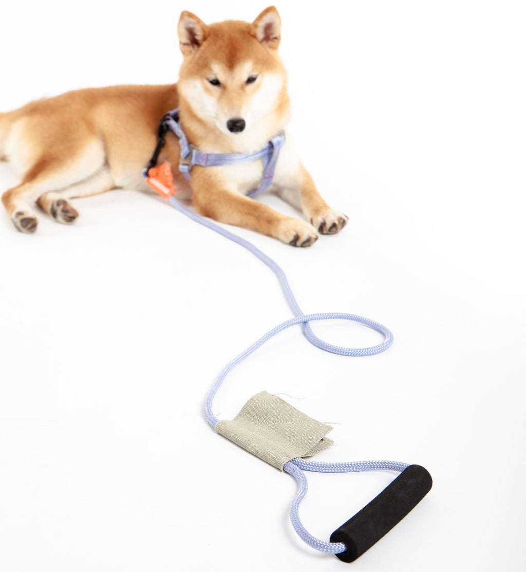 Touchdog ® 'Macaron' 2-in-1 Durable Nylon Dog Harness and Leash - P's One-Stop Shop 
