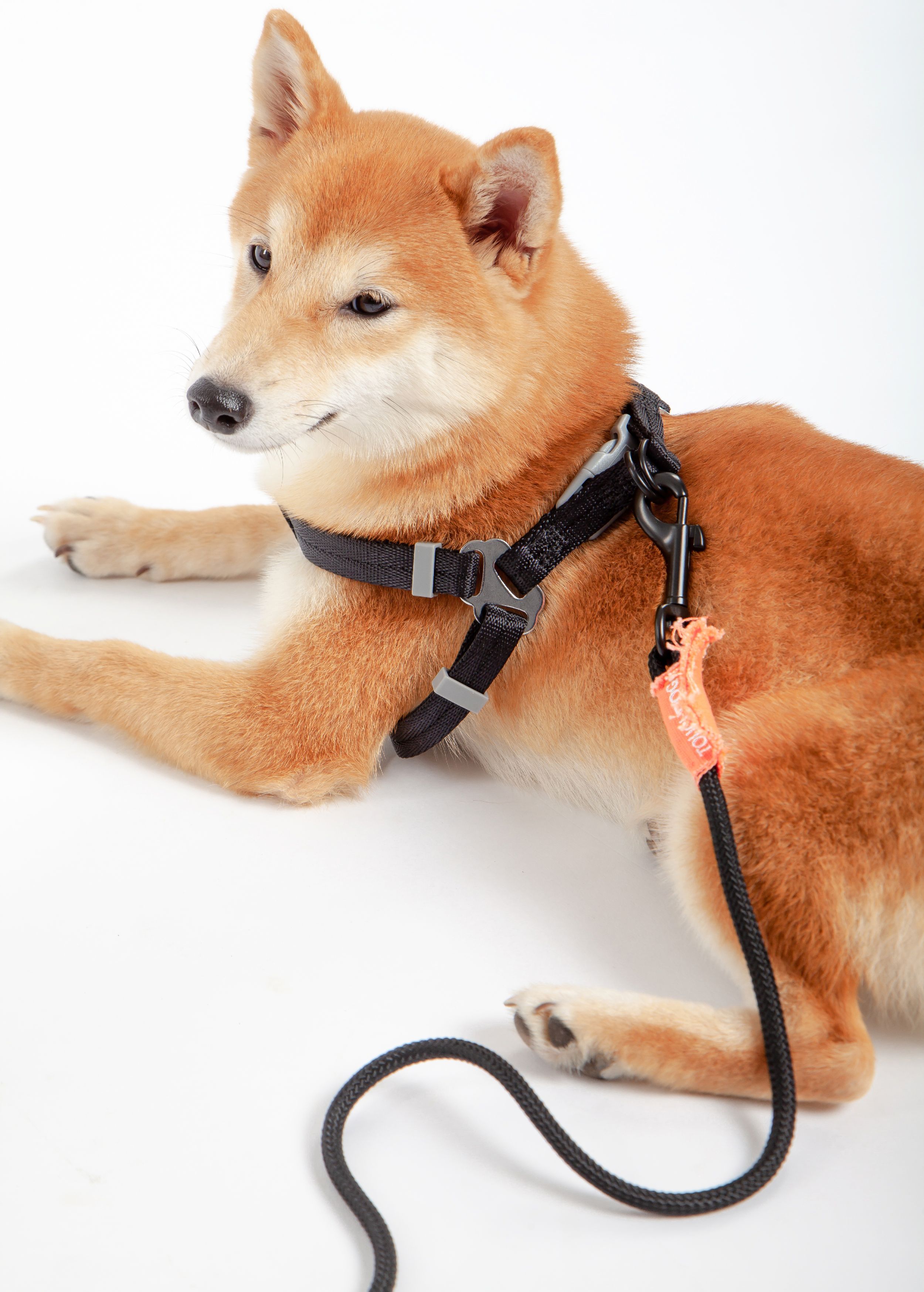 Touchdog ® 'Macaron' 2-in-1 Durable Nylon Dog Harness and Leash - P's One-Stop Shop 