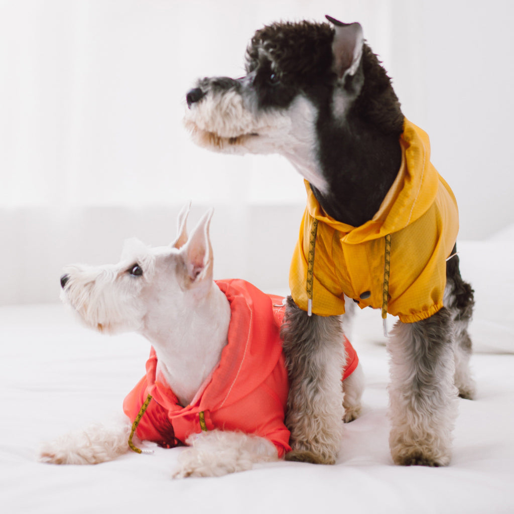 Touchdog Split-Vent Designer Waterproof Dog Raincoat - P's One-Stop Shop 