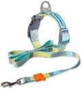Touchdog ®'Trendzy' 2-in-1 Matching Fashion Designer Printed Dog Leash and Collar - P's One-Stop Shop 